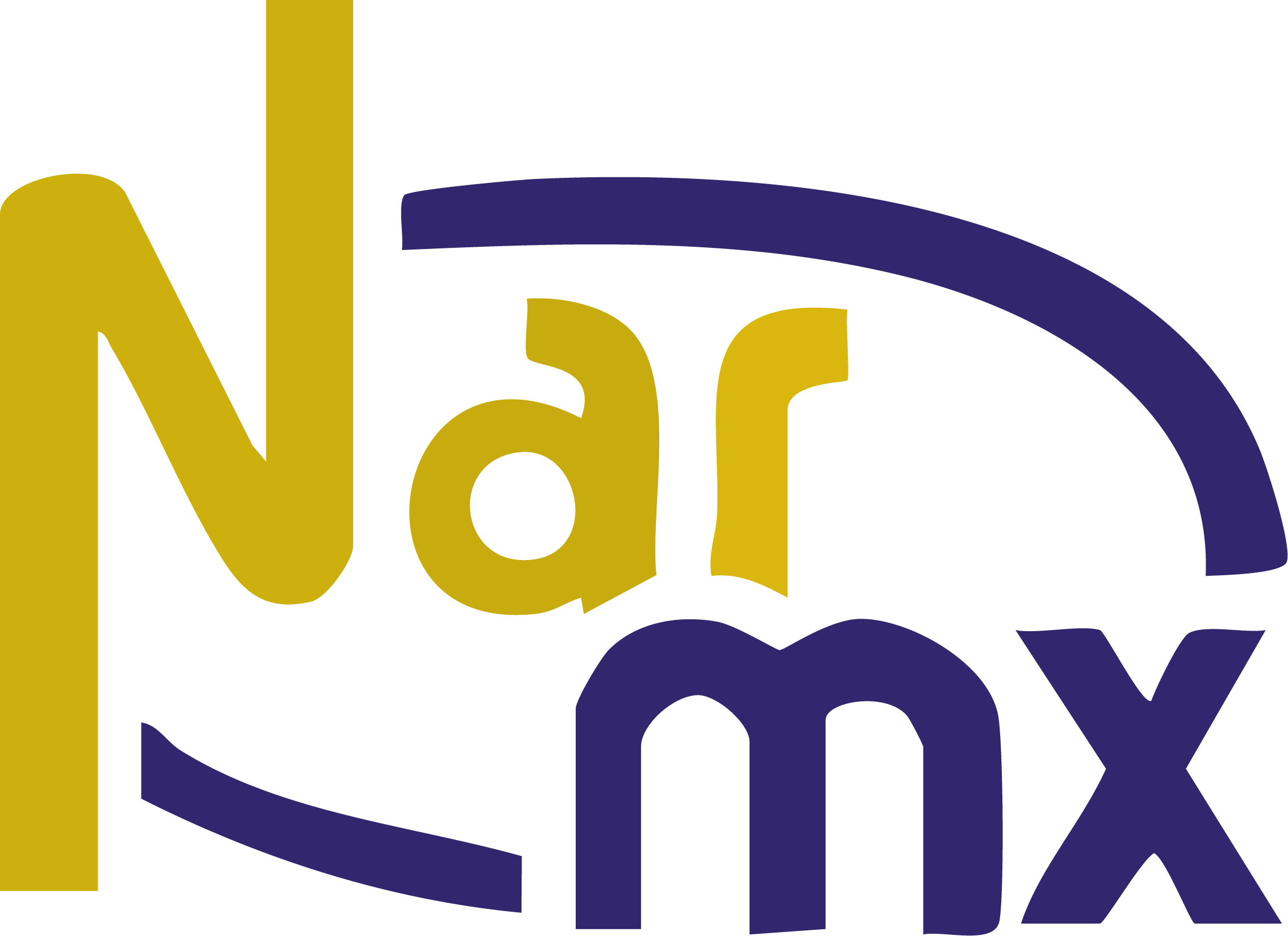 NARMX