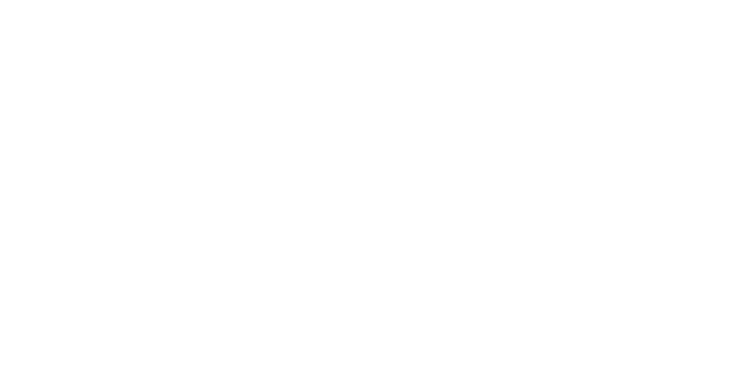 Comité Capital humano